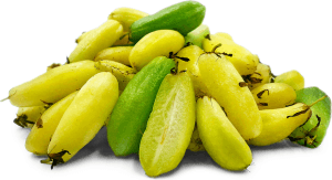 Bilimbi skincare benefits for hydration and skin health